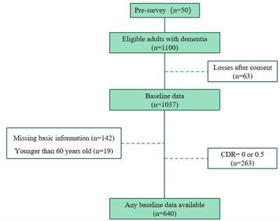 Risk factors for agitation in home-cared older adults with dementia: evidence from 640 elders in East China